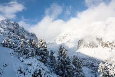 Slovakya 'da Hight Tatras' taki dağ vadisi, kış manzarası