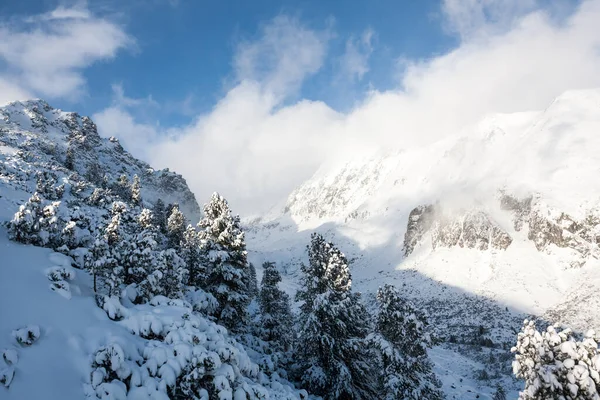 Vale Montanha Hight Tatras Eslováquia Paisagem Inverno — Fotografia de Stock