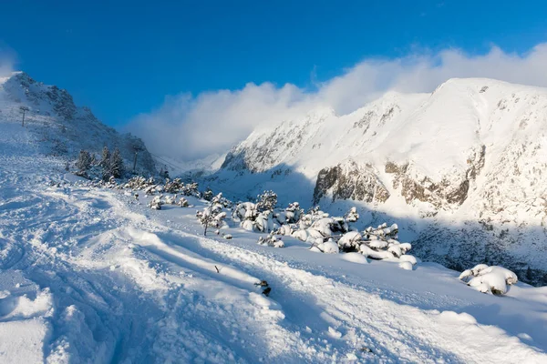 Pista Sci Nella Località Strbske Pleso Slovacchia Alti Tatra — Foto Stock