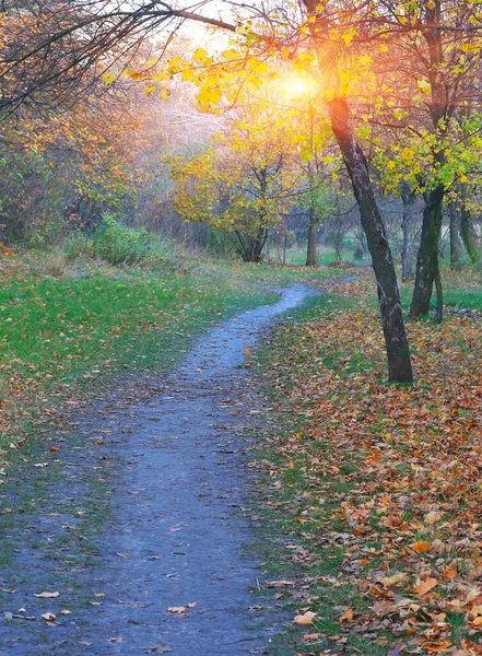 秋天公园有走道的日落景象 — 图库照片