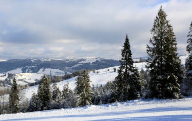 Karpat Dağları, Ukrayna 'da kış manzarası