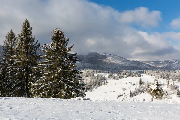 Nice winter day in Carpathian mountains. Take it in Ukraine