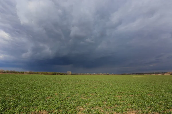 Nuvens Trovoadas Céu Sobre Campo Agricultura Verde Primavera — Fotografia de Stock