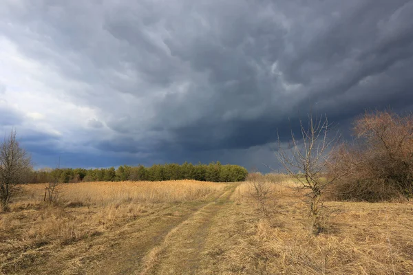 Trovoada Estepe Mola Com Nuvens Pesadas Céu Sobre Campo Grama — Fotografia de Stock