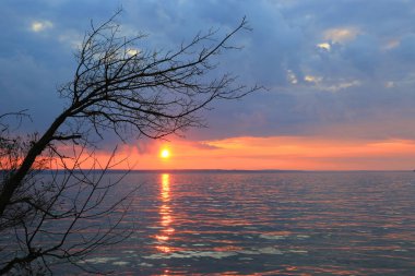 Gün batımı arka planında, göl kenarındaki ağaç manzarası