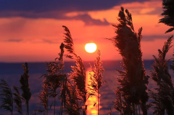 Stock Seeufer Vor Sonnenuntergang — Stockfoto