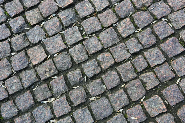 アブストラクト背景 石畳の質感 — ストック写真