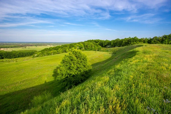 Green Grassland Hill Slope Spring Sky — Foto de Stock