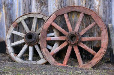 Arka planda iki yaşlı ahşap yavru var.
