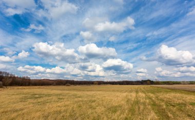 Gökyüzünde bulutların altında çayır olan güzel bir bahar manzarası.
