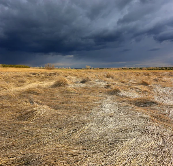 Paisaje Con Tormenta Estepa Tomarlo Ucrania —  Fotos de Stock