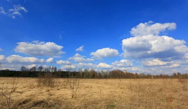 Landschaft Mit Trockener Frühlingswiese Unter Wolken Blauen Himmel Zur Frühlingszeit — Stockfoto