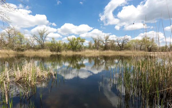 Güneşli bir günde yaban gölü üzerinde bahar manzarası