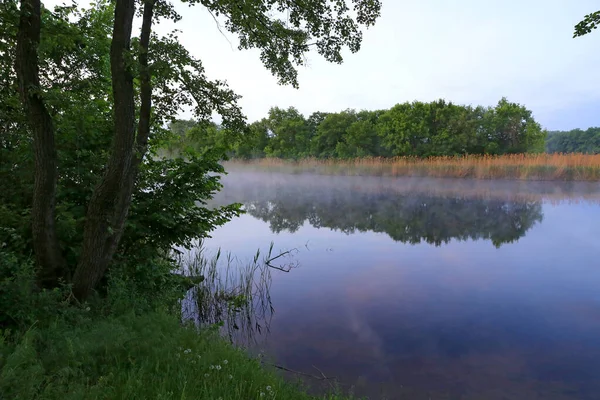 Una Tranquilla Scena Mattutina Sul Fiume Mattina Nebbia Sull Acqua — Foto Stock