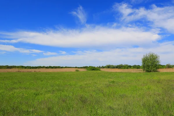Sommerlandschaft Mit Grüner Weide Unter Schönen Wolken Himmel — Stockfoto