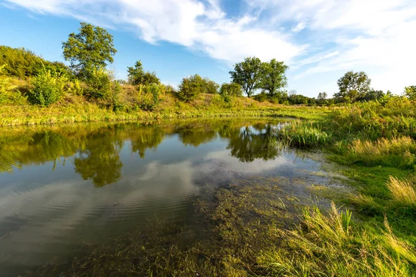 Landskap Med Liten Sjö Sommarskog Det Ukraina — Stockfoto