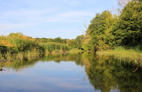 Trevlig Solig Sommardag Liten Flod — Stockfoto