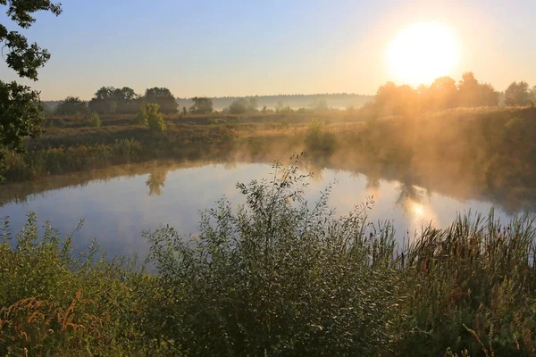 Mañana Amanecer Sobre Pequeño Alke Estepa — Foto de Stock