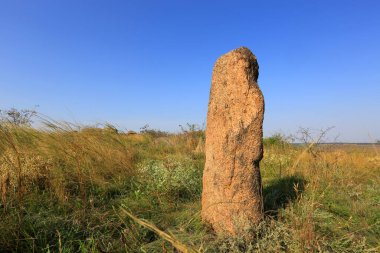 Bozkırda eski bir taş heykel. Ukrayna 'dan al.