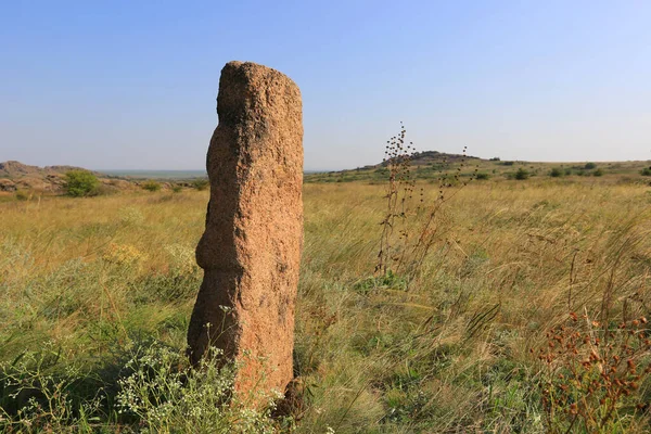 ウクライナの石段の古い石の偶像 — ストック写真