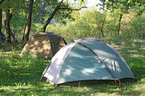 Tourist Tents Forest Camp — Stock Photo, Image