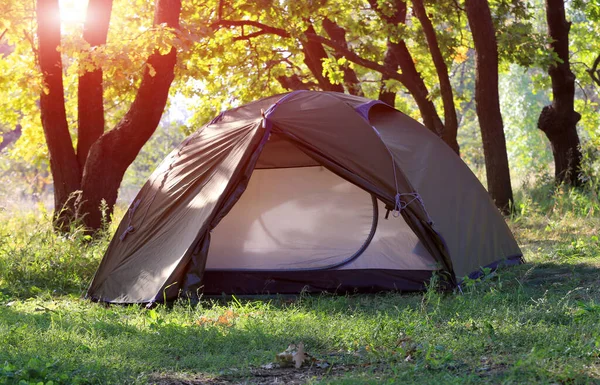 日当たりの良い緑の森の中の観光キャンプのテント ストック写真