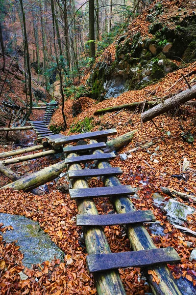 秋の山の森の峡谷の木の階段 スロバキアでそれを取るタトラ山脈 — ストック写真