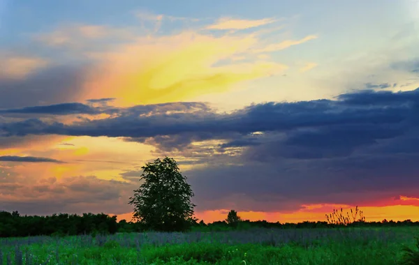 Avondlandschap Groene Weide Steppe — Stockfoto