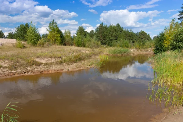 Trevlig sommar scen på sjön — Stockfoto