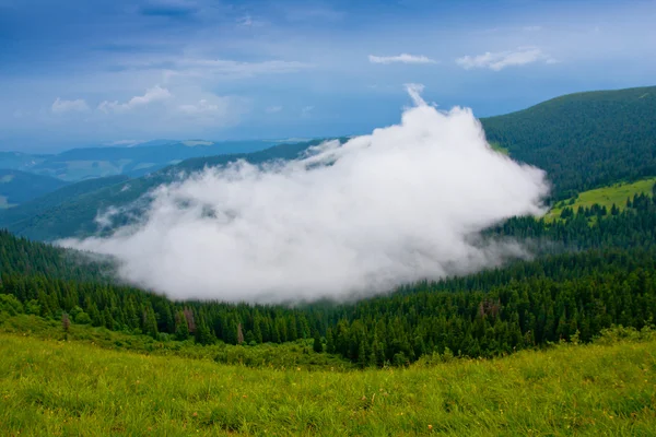 Nuvole nella valle — Foto Stock