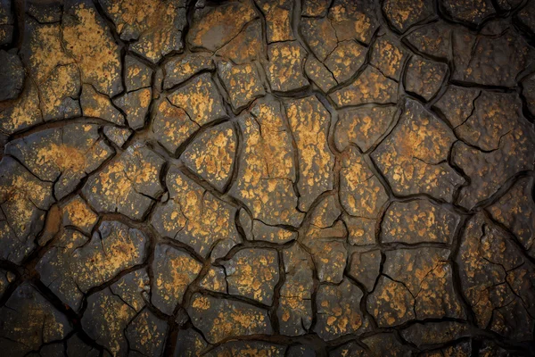 ひび割れた大地 — ストック写真