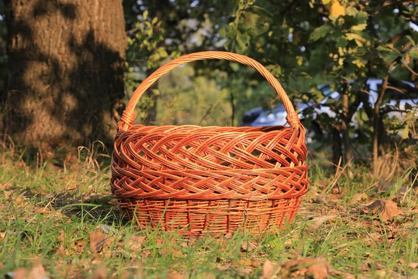 Kosz w jesień las — Zdjęcie stockowe