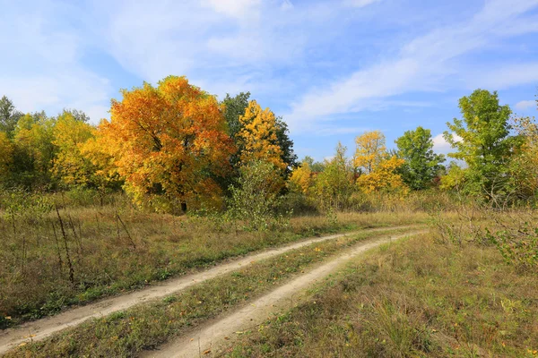 Road on autumn meadow — Stock Photo, Image