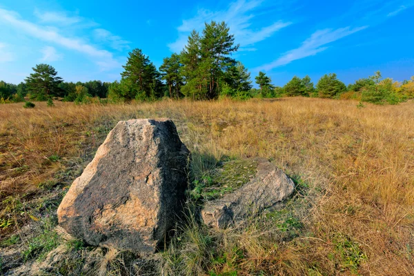 Alter Stein auf der Wiese — Stockfoto