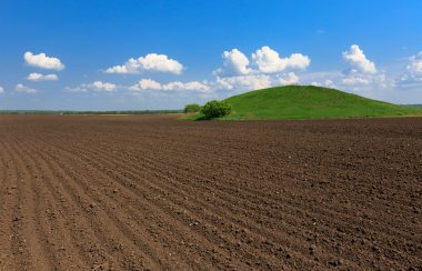 Tarımsal alanda yeşil tepe
