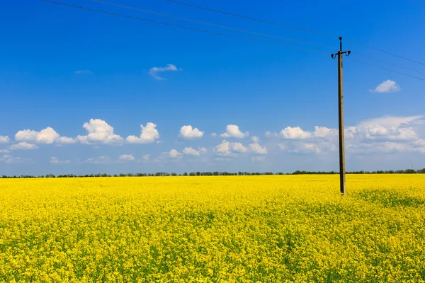 De lijn van de macht op verkrachting veld — Stockfoto