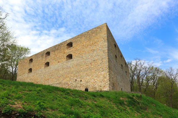 Крепость на зеленом холме — стоковое фото