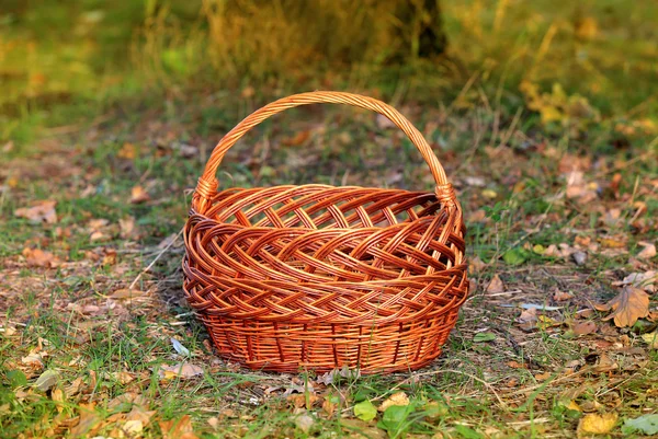 秋天的树林中的篮子 — 图库照片
