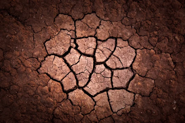 Cracked earth surface background — Stock Photo, Image