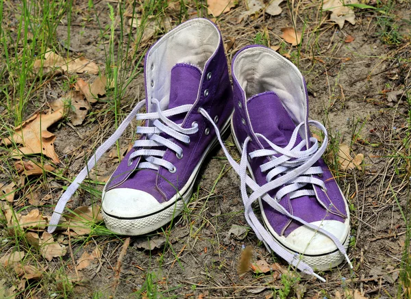 Par de sapatos de ginástica — Fotografia de Stock