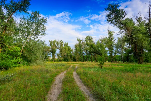 Schotterstraße im Wald — Stockfoto