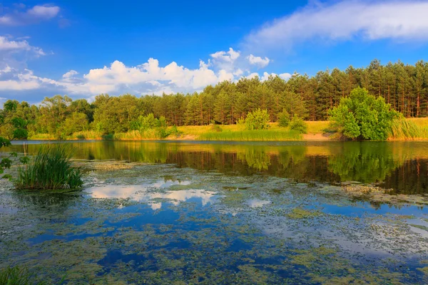 Lindo lago — Foto de Stock