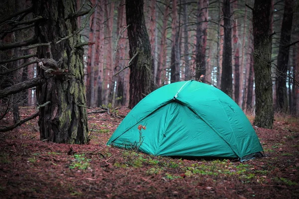 Turist tält i skogen — Stockfoto