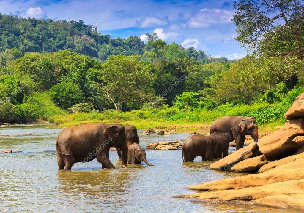 srilanka #hashtag