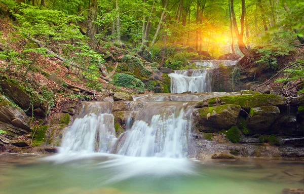 Vattenfall i grön skog — Stockfoto