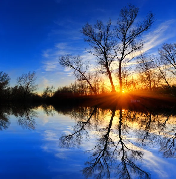 Árbol cerca del agua en el fondo del atardecer — Foto de Stock