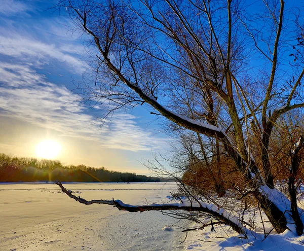 Cena de inverno no lago congelado — Fotografia de Stock