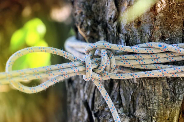 Touw knoop — Stockfoto