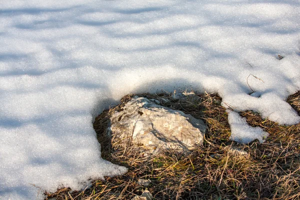 Laatste sneeuw — Stockfoto