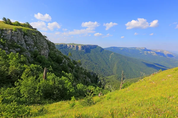Valle nel Crimea — Foto Stock